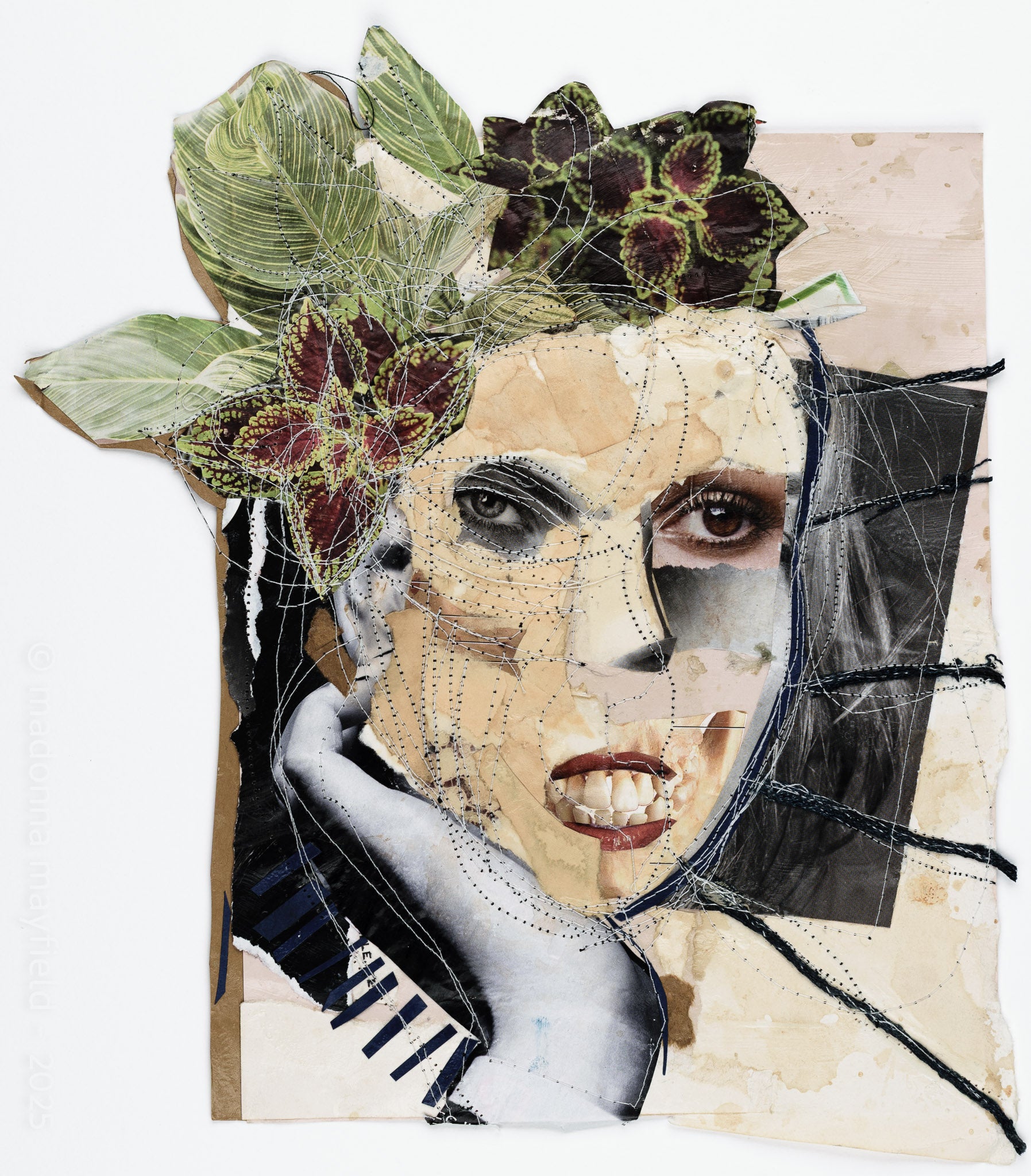 Artistic collage with a face, leaves, and abstract elements on a textured background
